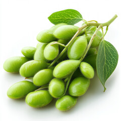 Poster - Soybean Isolated