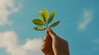 © hao - Close-up of Hand Holding Green Leaf with '2025' Against Sky Background, Representing Ecology Concept, Environmental Awareness, Sustainable Future