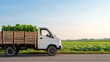 © Bonsales - Small truck carrying fresh harvested vegetables parked beside cultivated farmland, highlighting agricultural logistics and local produce transportation
