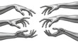 © Anomal - 3D Chrome metal woman hands hold position. Futuristic glossy silver hands reaching out, palm up presenting product. on transparent background, PNG Cutout