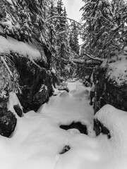 Wall Mural - By the Villbekken Creek below the Reklingmyra Bog of the Totenåsen Hills, Norway, in December 2024.