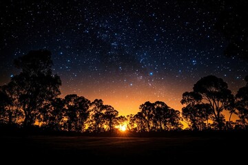 Sunset and starry night sky over silhouetted trees.