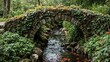 © GMeta - Tranquil stone bridge over stream with colorful koi fish