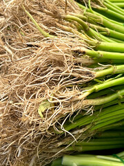 Wall Mural - water spinach in the market