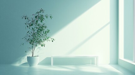 Aufkleber - Minimalist interior with plant, bench, sunlight.