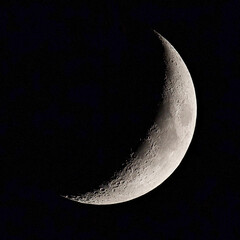 Wall Mural - Crescent moon closeup