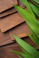 Aufkleber - Sunlit Green Leaves on Rustic Wooden Background - Capturing Natural Beauty and Texture
