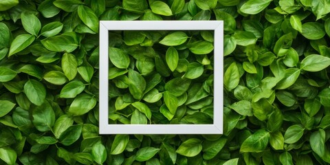 Poster - Green Leaf Flat Lay with White Frame - Nature-Inspired Stock for Creative Projects