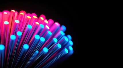 Poster - Fireworks abstract background idea. Vibrant fiber optic strands glowing in blue and pink lights against a black background.