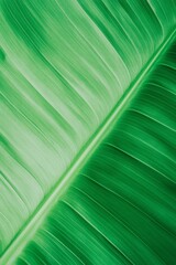 Poster - Minimalist Green Leaf Texture Natures Abstract Art