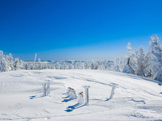 Wall Mural - Something like a remnant buried in snow and covered with rime (Yokoteyama, Nagano, Japan)