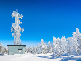 Wall Mural - Ski slope surrounded by ice monsters with a snow-covered transmission tower on a clear day (Yokoteyama, Nagano, Japan)