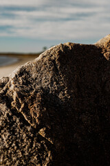 Wall Mural - Close up of a rock with a partial view of the beach