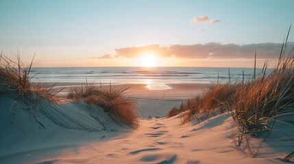Wall Mural - sweeping golden sand dunes along a tranquil coastline at sunset, featuring vibrant skies and gentle 