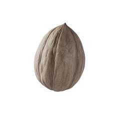 Wall Mural - a walnut nut on a transparent background