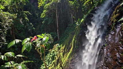 Aufkleber - Majestic waterfall cascades down lush green mountains in tropical rainforest under bright sunlight