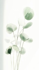 Wall Mural - Delicate Green Leaves Art Print - Minimalist Botanical Wall Decor