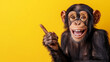 © StokHunt - Cheerful chimpanzee pointing finger, displaying wide grin and gleaming teeth against vivid yellow background