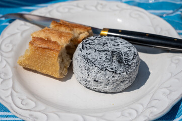 Wall Mural - Picnic with cheese and baquette bread, French Cendre Lait cru Chevre cheese made from goat milk with ash in France served outdoor