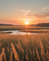  Serene Sunset over the Golden Meadow and River