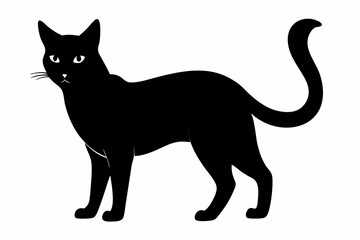  Cat Silhouette Black Vector