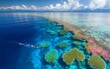 © Puchong - Aerial view of vibrant coral reef meeting deep blue ocean.  A diver explores the stunning underwater landscape.  Paradise found!