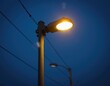 © umut hasanoglu - Street lamp on blue night sky background