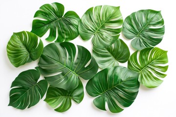 Wall Mural - Tropical palm leaves on white background. Summer concept. Flat lay, top view, copy space