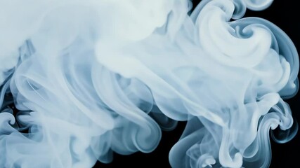 Wall Mural - realistic white smoke and fog effects on black background in slow motion