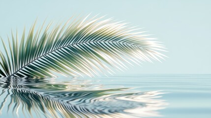 Wall Mural - a serene palm leaf gently floats above the calm water, creating a tranquil reflection on the surface