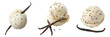 © OHMAl2T - Set of a creamy vanilla ice cream with visible vanilla bean specks isolated on a transparent background
