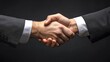 © sup - A Firm Handshake: Business Deal, Partnership, Agreement