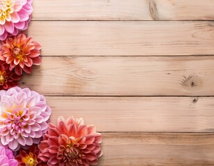 Wall Mural - Dahlias blossoms on the edge of a wooden background