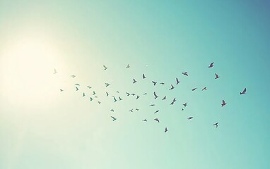 Poster - Birds flocking in a bright sky.