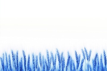 Poster - A field of blue wheat against a bright white sky, ideal for use in rural or agricultural themed projects