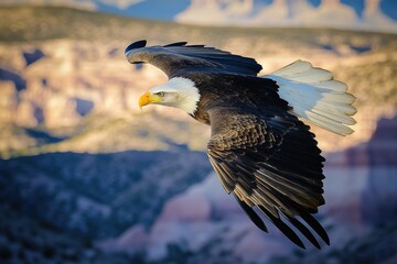 Poster - A majestic bald eagle in flight, with the rugged mountain range in the background