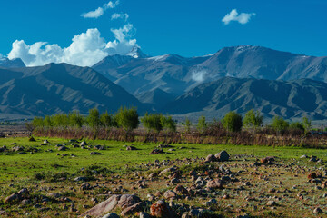 Wall Mural - Picturesque mountain valley on summer day