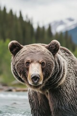 Sticker - A large brown bear stands in a body of water, possibly in a lake or ocean