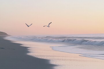 Poster - Aerial view of birds soaring above the sandy coast, with calm ocean waters below