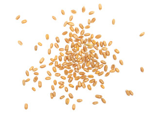 Canvas Print - Wheat kernels, grains pile isolated on white background, top view