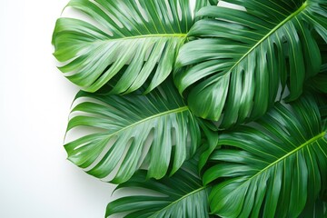 Poster - A detailed shot of a bunch of green leaves