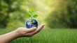 © Atif - Human hands holding green Earth globe, symbolizing environmental care and global peace