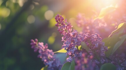 Poster - A close-up view of a vibrant purple flower arrangement