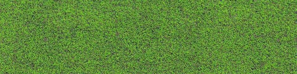 Lush green grass texture, seamless pattern, close-up view, vibrant lawn, sports field turf, natural background, detailed grass blades, fresh spring grass, golf course putting green, manicured lawn, hi