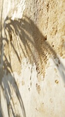 Poster - Light and Shadows Create Intricate Patterns on a Textured Wall With Natural Elements in a Warm, Sunlit Environment
