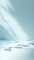 Poster - soft light illuminates a tranquil space creating gentle shadows and reflections on a smooth surface 