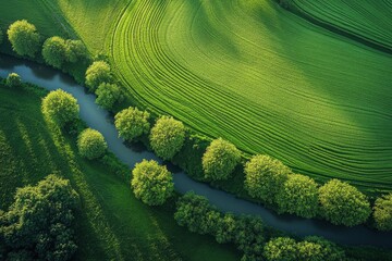 Wall Mural - Beautiful summer landscape with a river, trees, and green fields at sunset from above, an aerial view. 