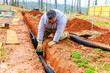 © ungvar - Man works diligently to place drainage pipes in trench, ensuring proper water management in residential backyard