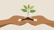 © S@photo - Two Hands Nurturing a Young Plant Symbolizing Growth, Care, and Environmental Responsibility in a Minimalist Style Representing Nature and Sustainability