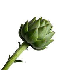 Wall Mural - Artichokes 